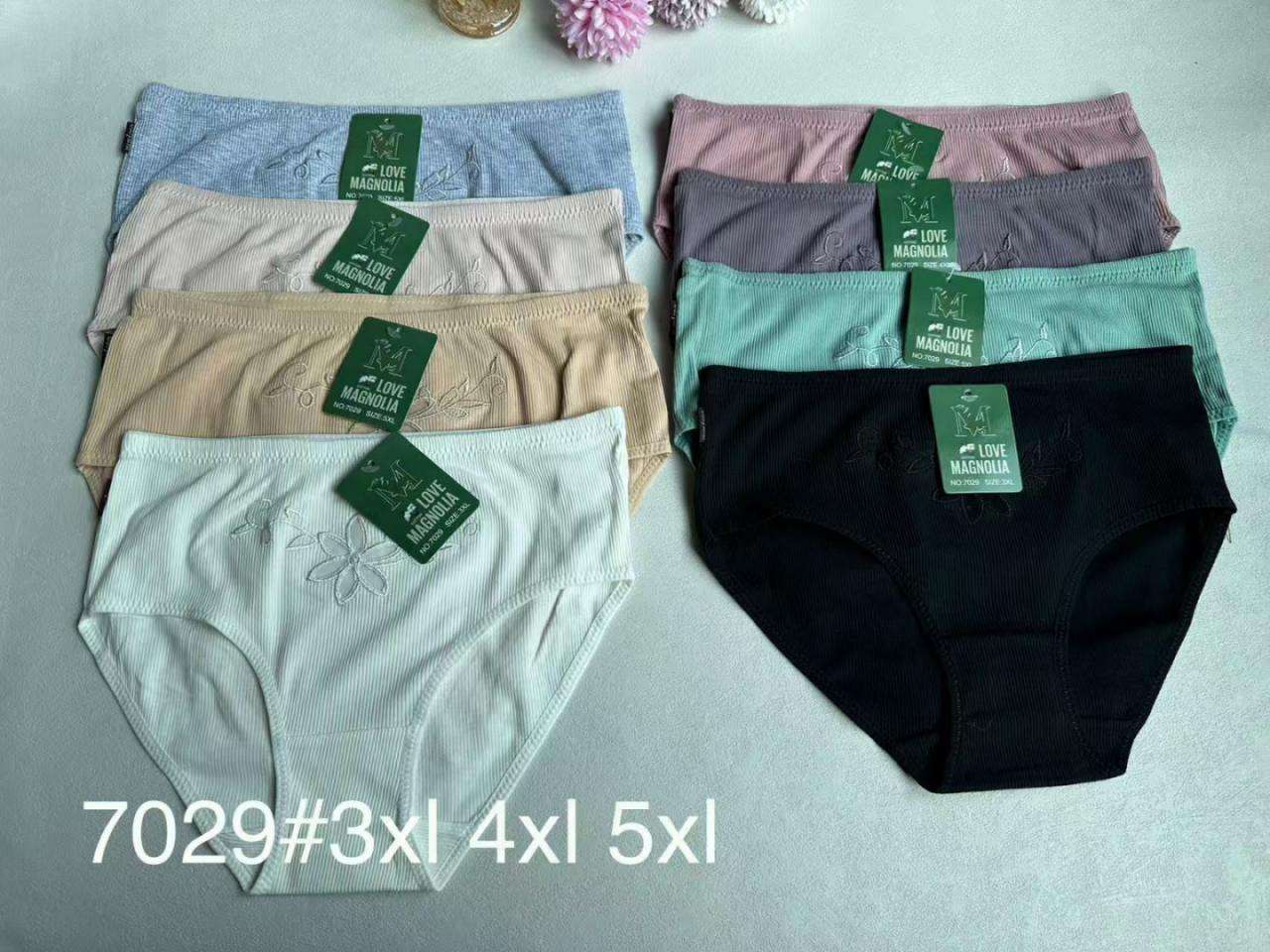 Majtki damskie,size 3xl-5xl, paczka 24szt ,mix kolor