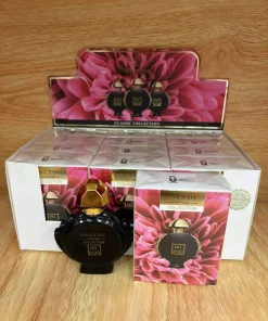 Perfume męskie 100ml Paczka 12 szt (Sao chép)