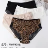 Majtki Damskie, Size s/m-l/xl, paczka 24szt, mix kolor (Sao chép)