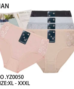 Majtki Damskie, Size xl-3xl, paczka 24szt, mix kolor (Sao chép)