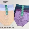 Majtki Damskie, Size 6xl-8xl, paczka 24szt, mix kolor (Sao chép)