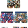 Bokserki MĘSKA , Size 4-7xl,paczka 24szt,mix kolor (Sao chép)
