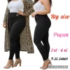 Legginsy Damskie, Size s-l, paczka 12szt, 1 kolor (Sao chép)