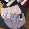 Majtki Damskie, Size xl-2xl, paczka 24szt, mix kolor (Sao chép)