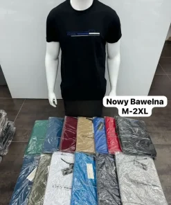 Bluzki MĘSKA, size m-2xl, paczka 12szt ,mix kolor (Sao chép)