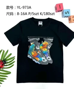 Bluzki DZIECIĘCA,size 8-16 lat,paczka 5szt, 1kolor (Sao chép)