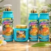 gorący hitowy duet shampo + conditioner 520ml (Paczka 12 szt) (Sao chép)