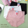 Majtki Damskie, Size xl, paczka 24szt, mix kolor (Sao chép)