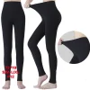 Legginsy Damskie, Size s-xl, paczka 12szt, mix kolor (Sao chép)
