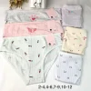 Majtki DZIECIĘCA, Size 2-12 lat, paczka 24szt, mix kolor (Sao chép)