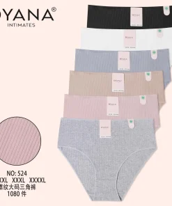 Majtki Damskie, size xl-3xl, paczka 24szt, mix kolor (Sao chép)