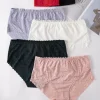 Majtki Damskie, Size 3xl-5xl, paczka 24szt, mix kolor (Sao chép)