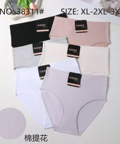 Majtki Damskie, size xl-3xl, paczka 24szt, mix kolor (Sao chép)