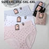 Majtki Damskie, size xl-4xl, paczka 24szt, mix kolor (Sao chép)