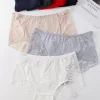 Majtki Damskie, Size m/l-2xl, paczka 24szt, mix kolor (Sao chép)
