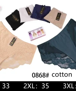 Majtki Damskie, Size 2xl-4xl, paczka 24szt, mix kolor (Sao chép)