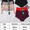Majtki Damskie, Size 4xl-6xl, paczka 24szt, mix kolor (Sao chép)
