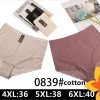 Majtki Damskie, Size 2xl-4xl, paczka 24szt, mix kolor (Sao chép)
