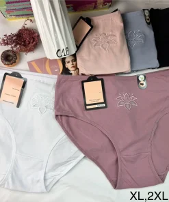 Majtki Damskie, size l-3xl, paczka 24szt, mix kolor (Sao chép)