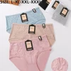 Majtki Damskie, size xl-3xl, paczka 24szt, mix kolor (Sao chép)