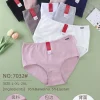 Majtki Damskie, size xl-3xl, paczka 24szt, mix kolor (Sao chép)