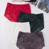 Majtki Damskie, size 3xl-5xl, paczka 24szt, mix kolor (Sao chép)
