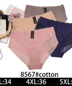 Majtki Damskie, Size xl-3xl, paczka 24szt, mix kolor (Sao chép)