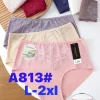 Majtki Damskie, size 4xl-5xl,paczka 24szt, mix kolor (Sao chép)