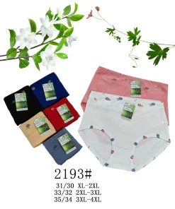 Majtki Damskie,Size xl/2xl-3xl/4xl,paczka 24szt, mix kolor