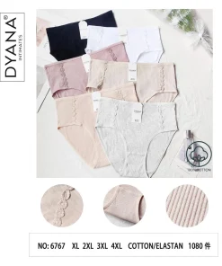 Majtki Damskie,Size xl-4xl,paczka 24szt, mix kolor