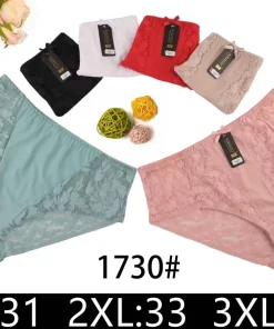 Majtki Damskie,size xl-3xl,paczka 24szt,mix kolor