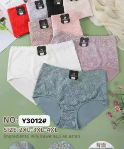 Majtki Damskie,Size 2xl-4xl,paczka 24szt, mix kolor