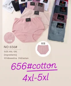 Majtki damskie,Size 4xl-5xl,paczka 24szt, mix kolor