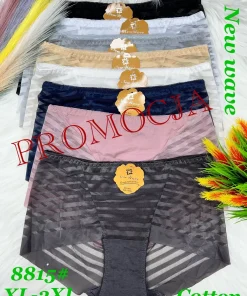 Majtki Damskie,size xl-3xl,paczka 24szt,mix kolor