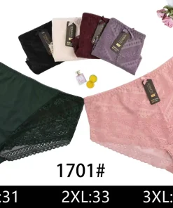 Majtki Damskie,size xl-3xl,paczka 24szt,mix kolor